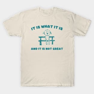 It Is What It Is And It Is Not Great Sweatshirt, Mental Health Sweatshirt, Funny Sweatshirt Women, Meme Sweatshirt, Dog Shirt, Gag Tee T-Shirt